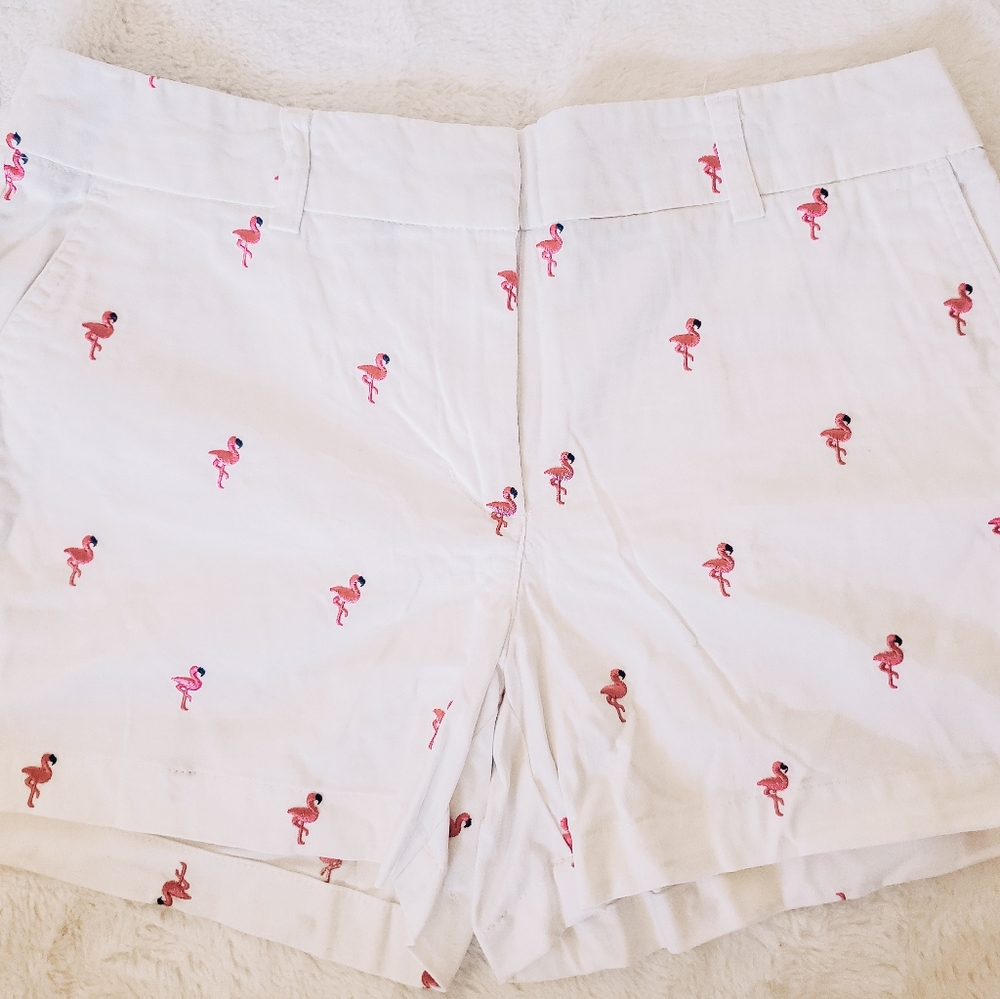 Flamingo Shorts